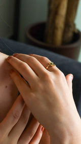 ANILLO "UDA"