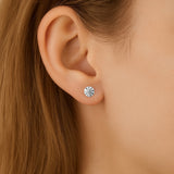 BROQUELES "THALINDRA"