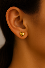 BROQUELES "ARKHADIA"