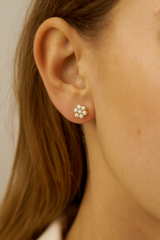 BROQUELES "ISOLDEAN"