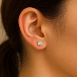 BROQUELES "MARCELLINA"