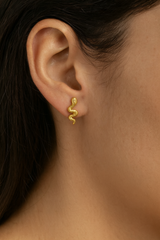 BROQUELES "REPUTATION"