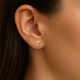 BROQUELES "CORNELIA"