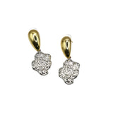 ARETES "SEQUOIA"